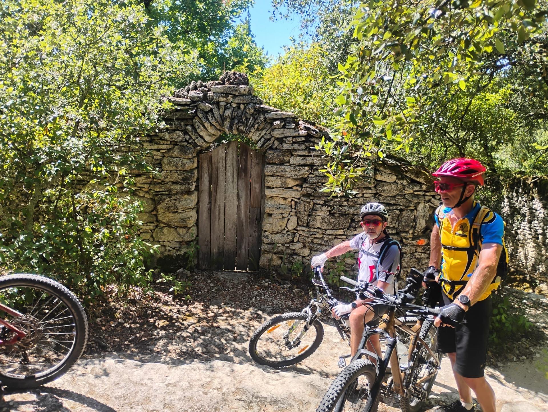 7807e393 0eb7 4d35 b4f5 39477f0ac17f