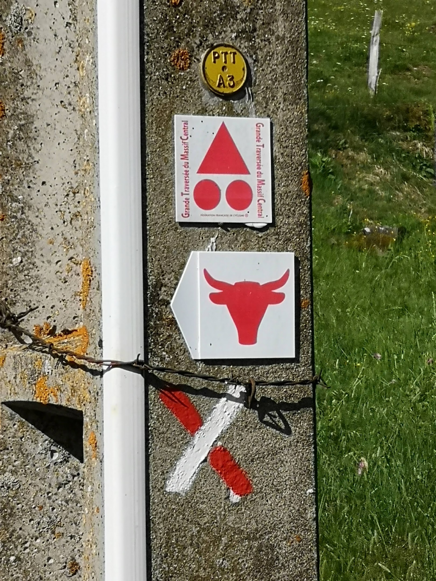 Cf5c8eef 8d48 47da b0f1 e02d74a8d02f