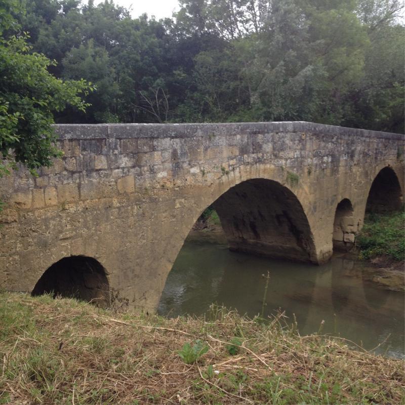 Image 207