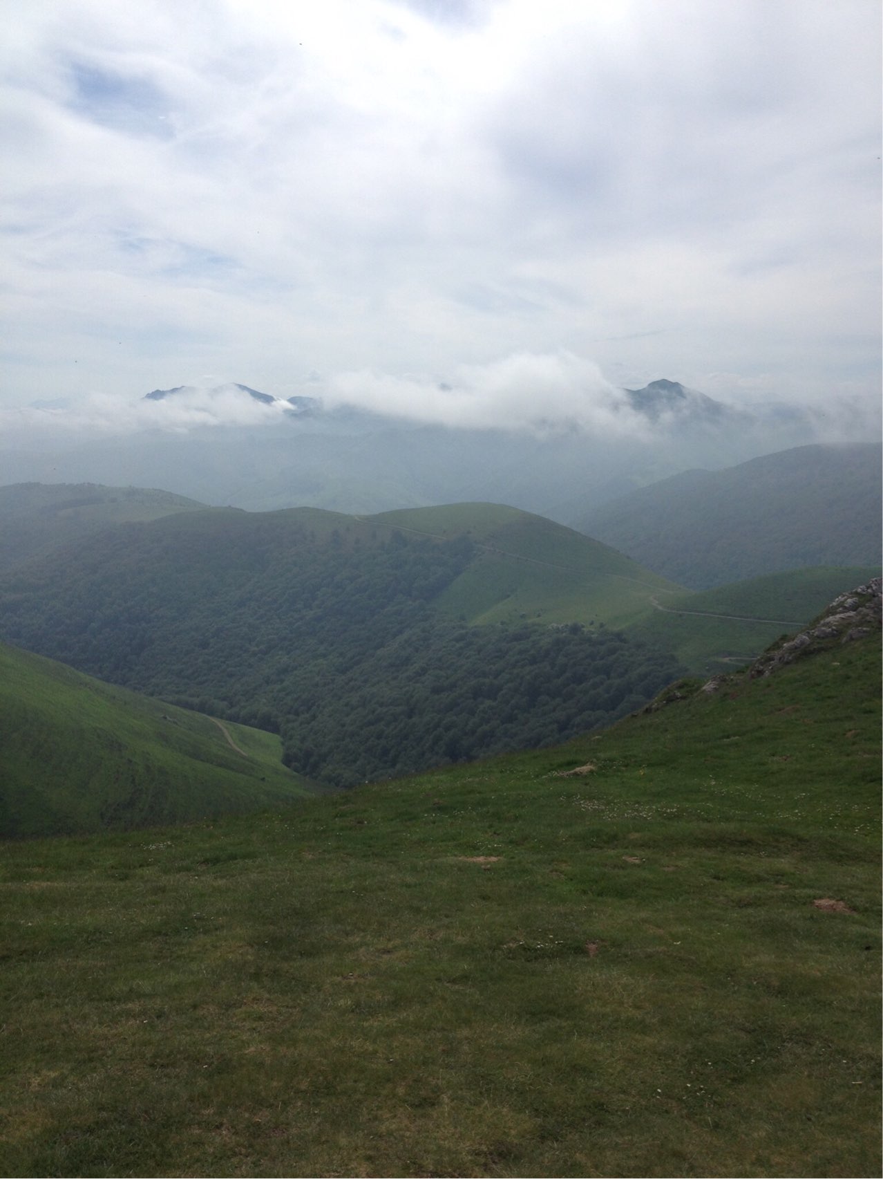 Image 308