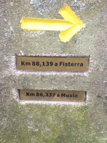 Image 651