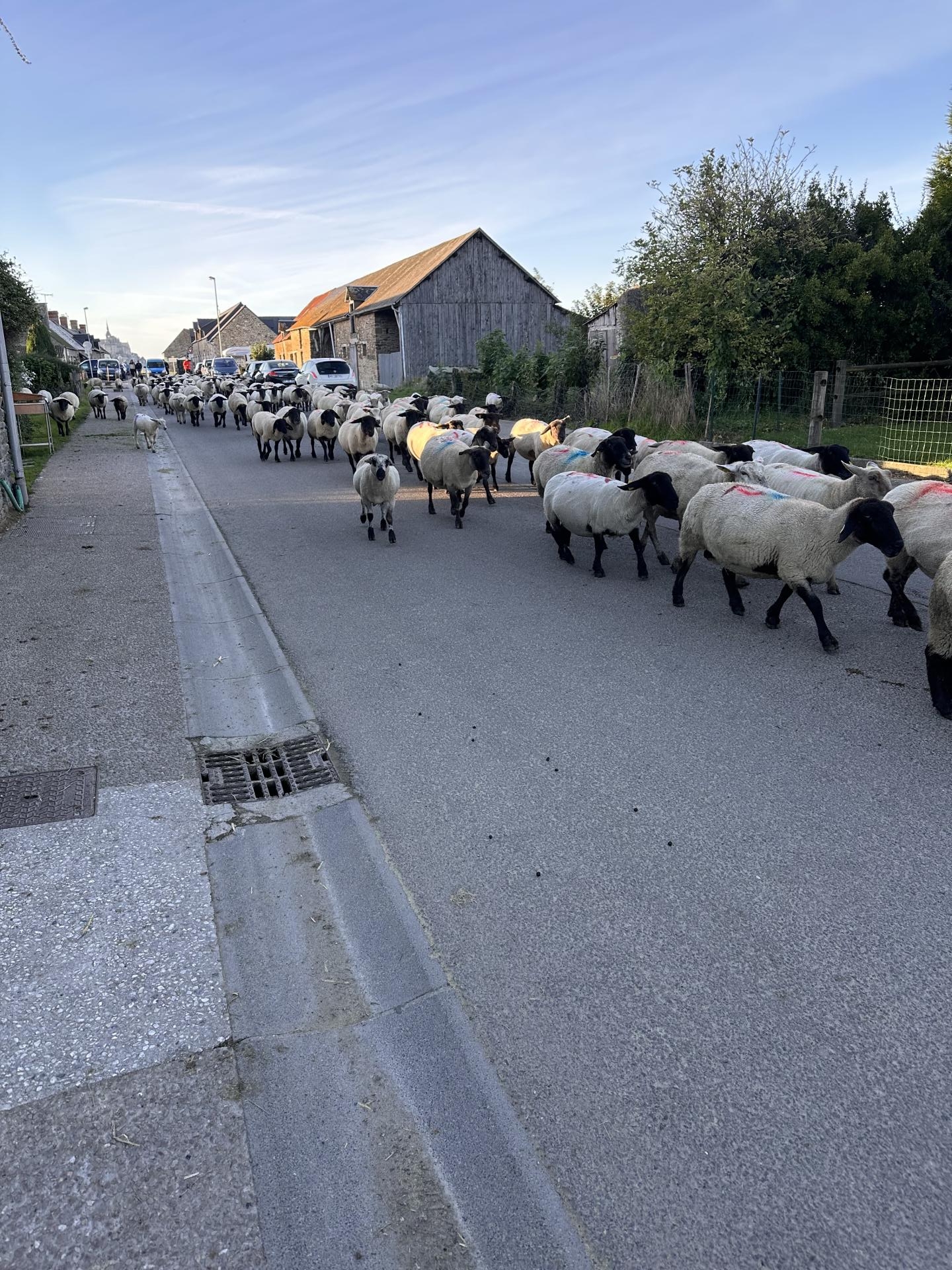 Img 0232