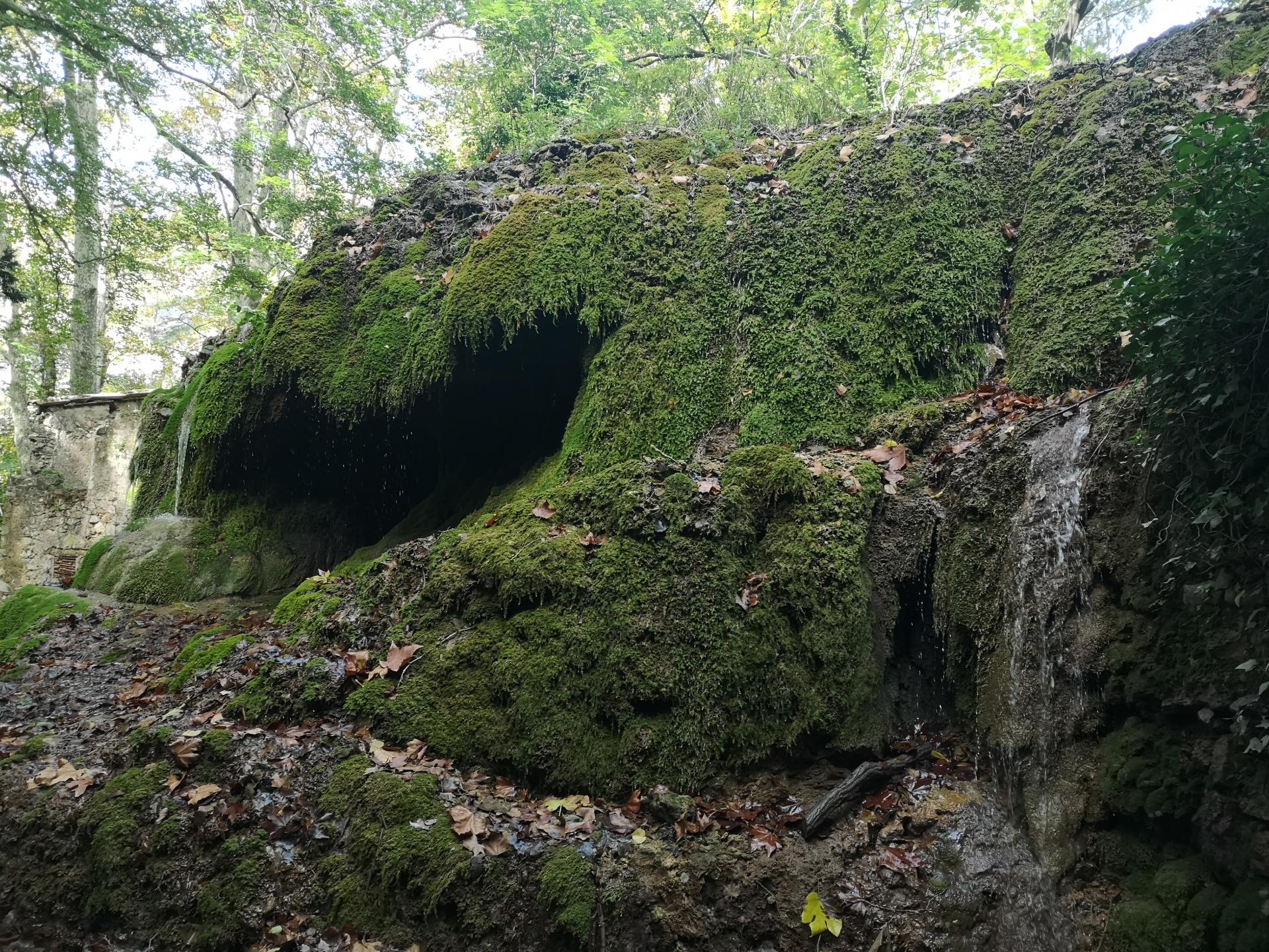 Img 20181019 134553