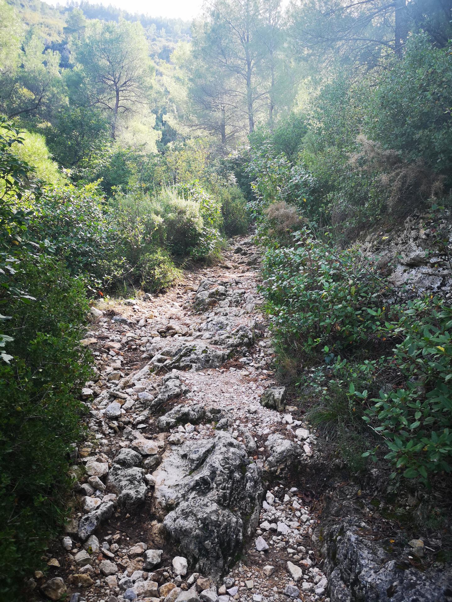 Img 20181019 135404