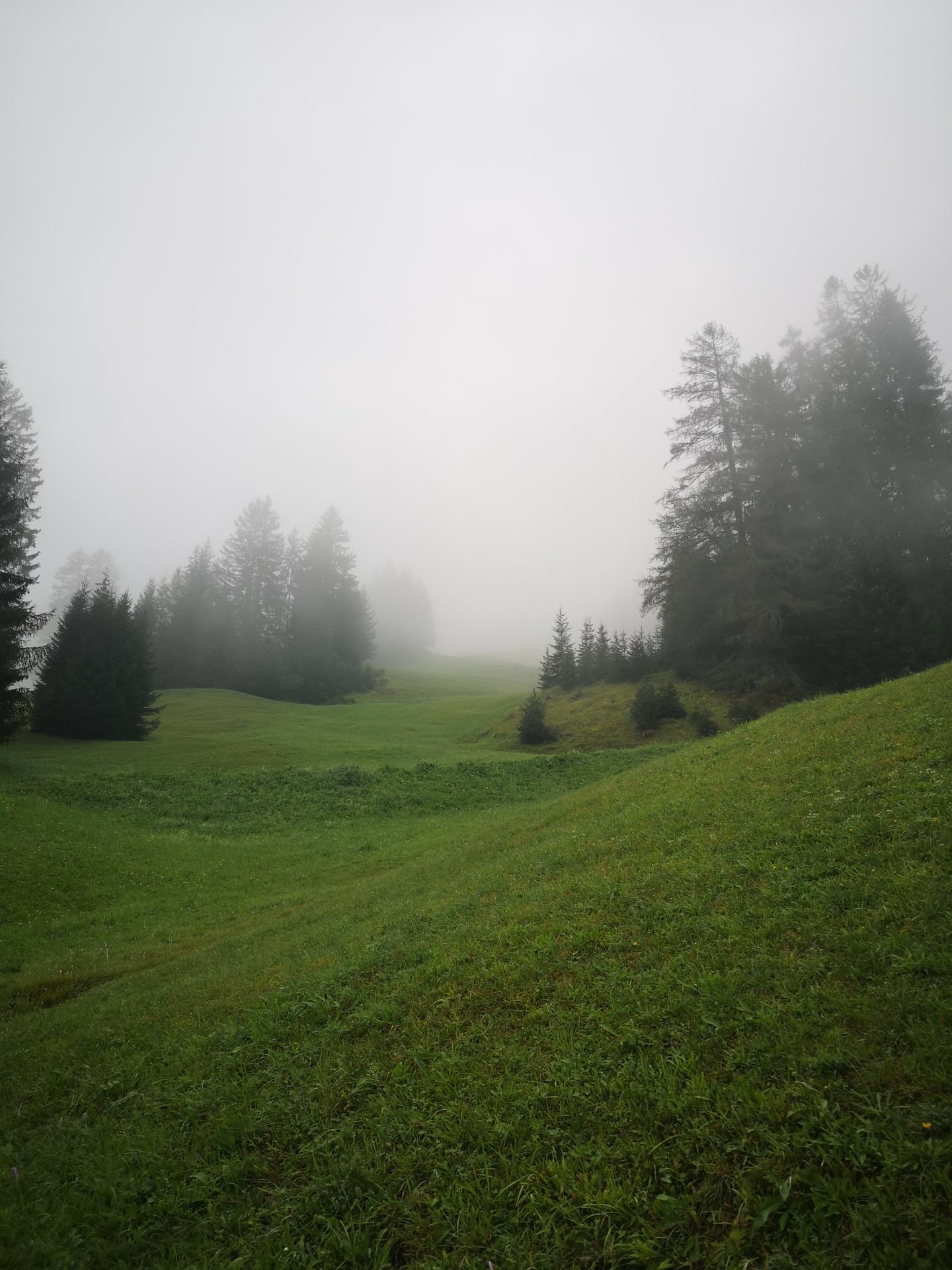 Img 20200906 084557