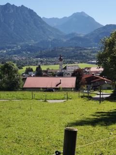 Img 20200909 121544