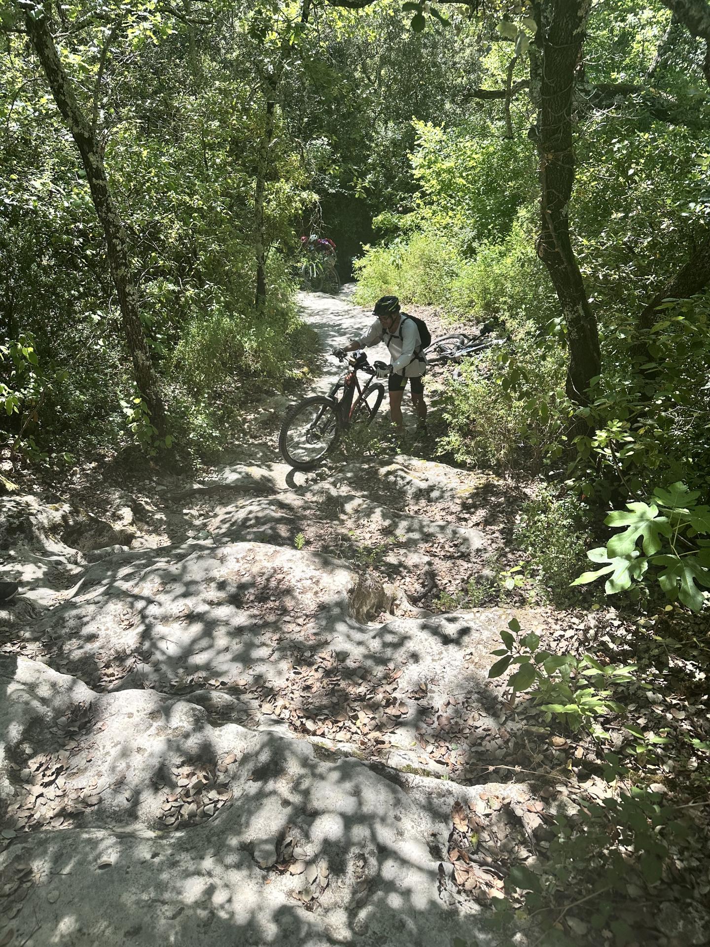 Img 2744