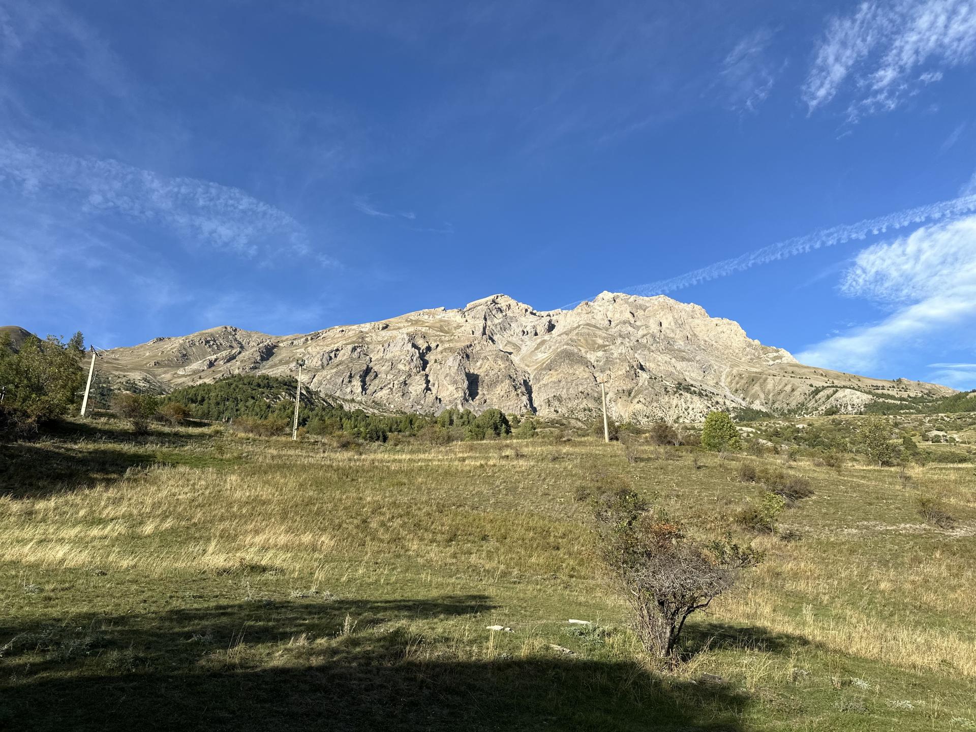 Img 7003