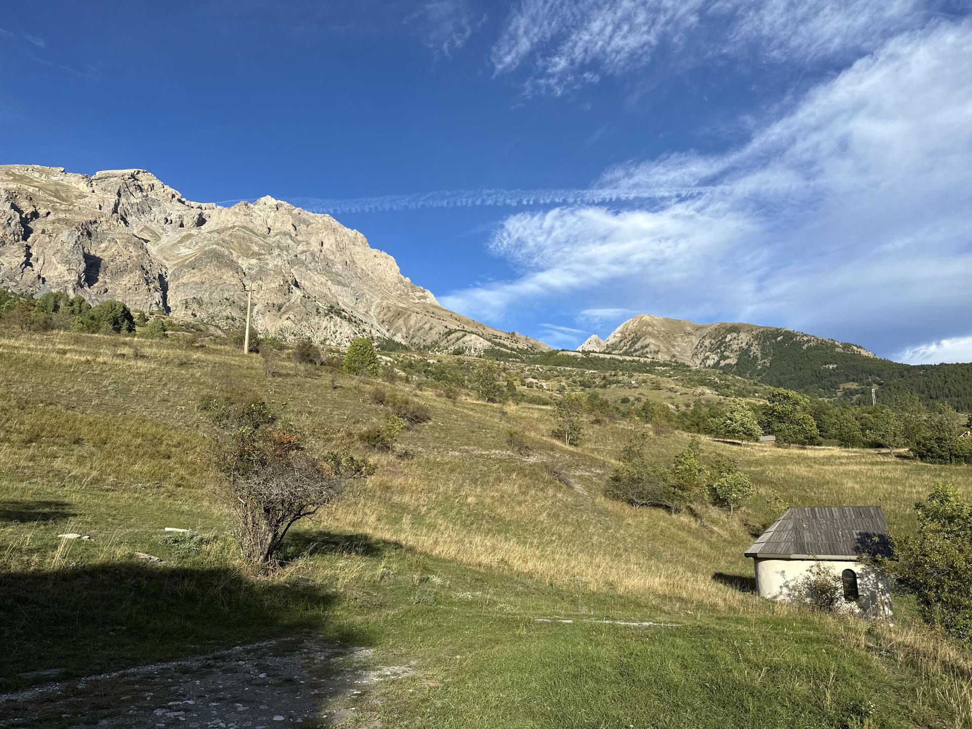 Img 7004