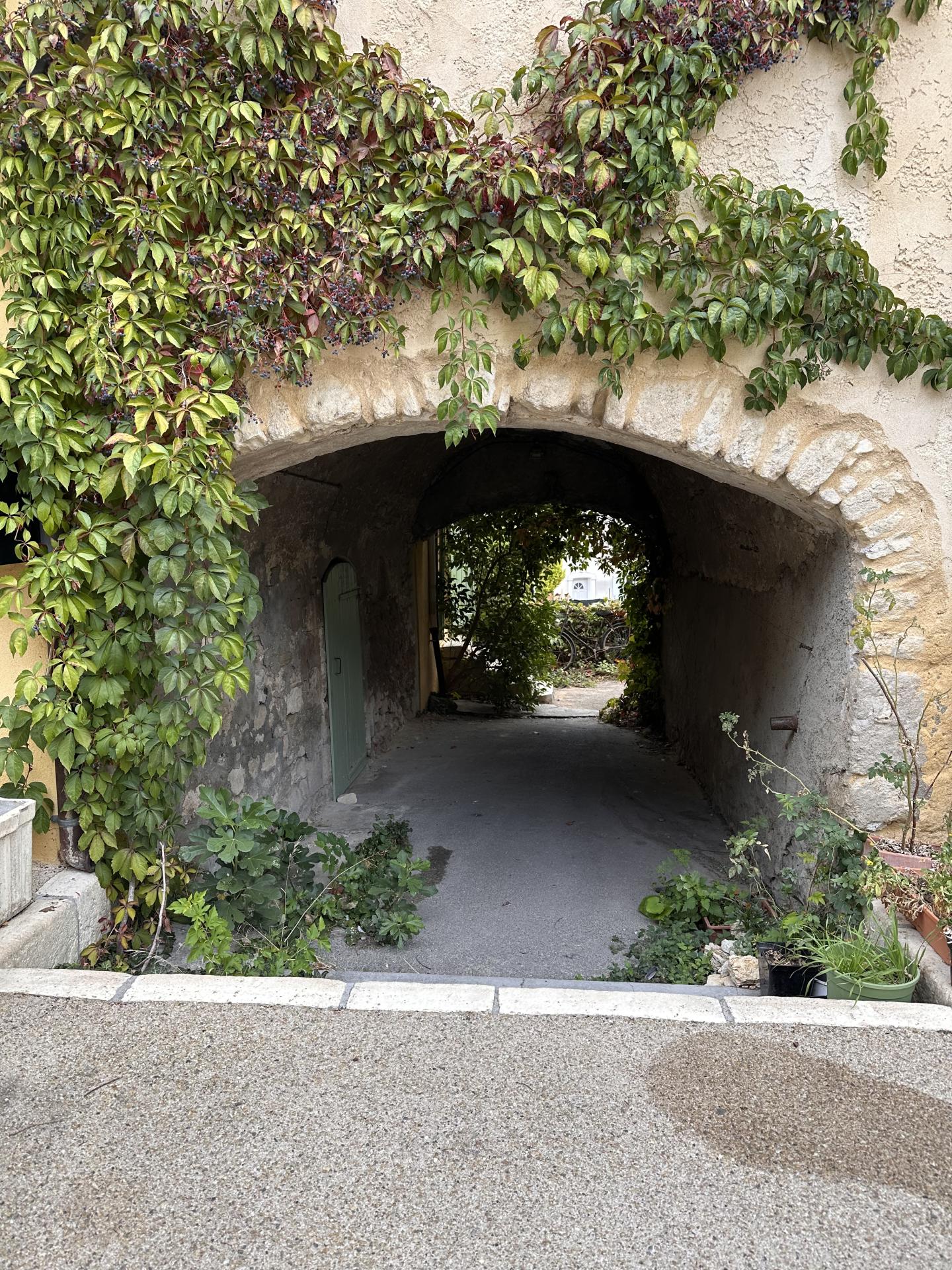 Img 7386